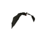 vampire bat!